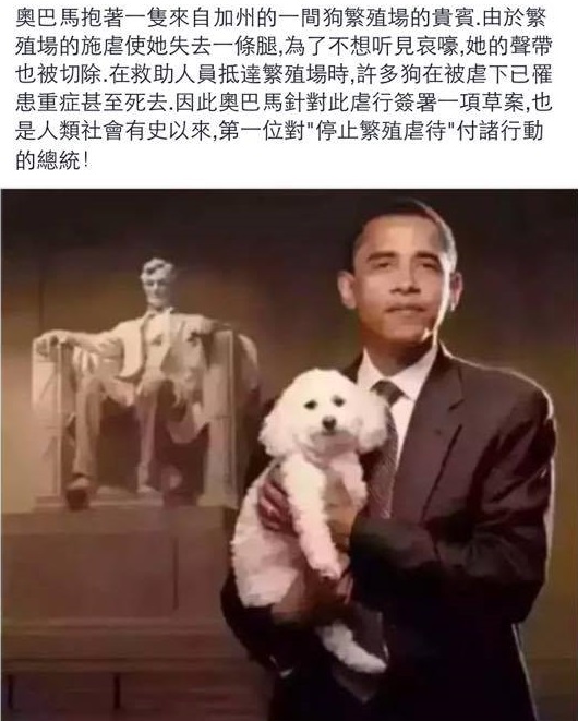 圖片來源:Feifei Tung