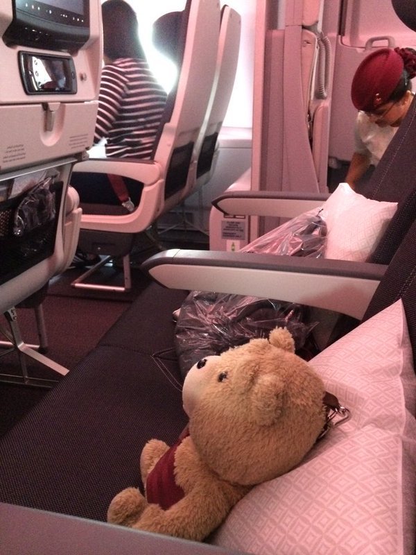 圖片來源:alccafe/twitter