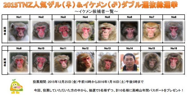 圖片來源:biglobe