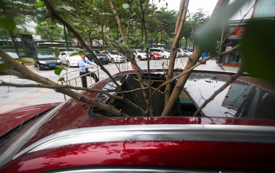 圖片來源:佛山日報