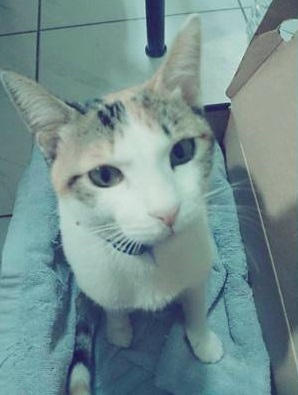 圖片來源:ettoday