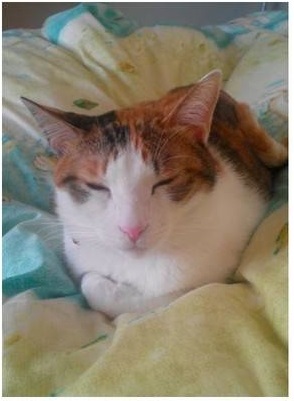 圖片來源:ettoday