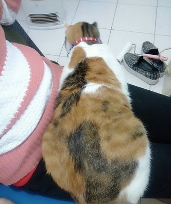 圖片來源:ettoday