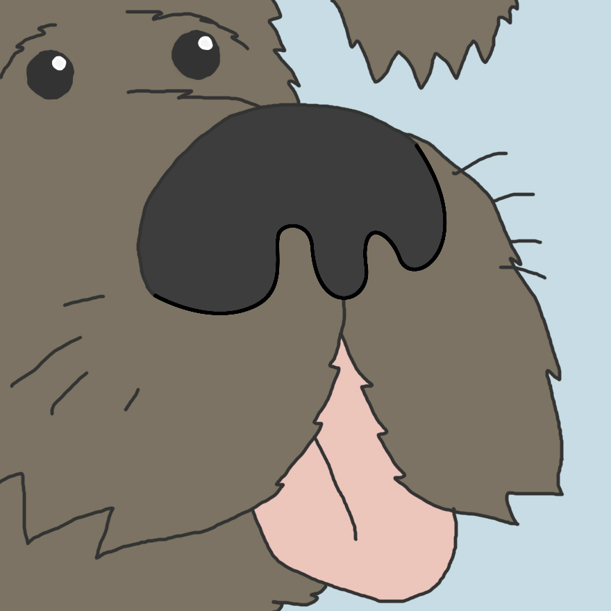 圖片來源：boredpanda