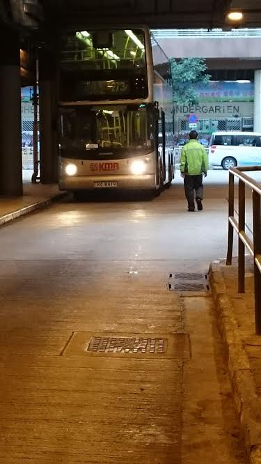 圖片來源：Ada Lam/上水粉嶺人分享會