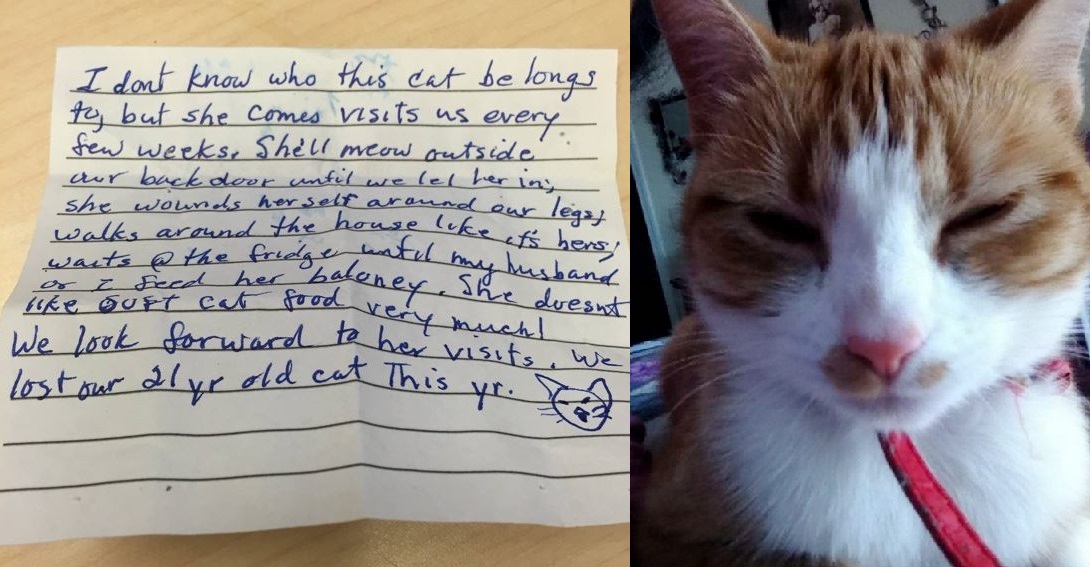 圖片來源:goldenstate30/reddit