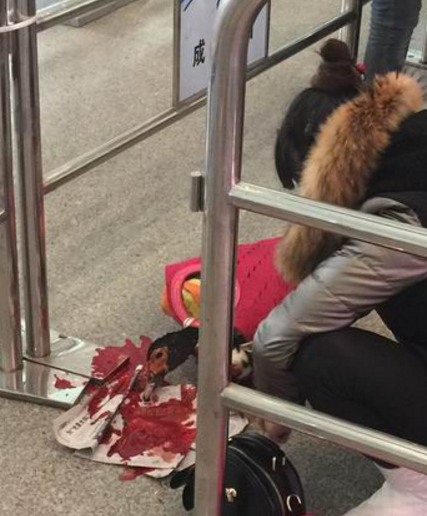 圖片來源：四川新聞網