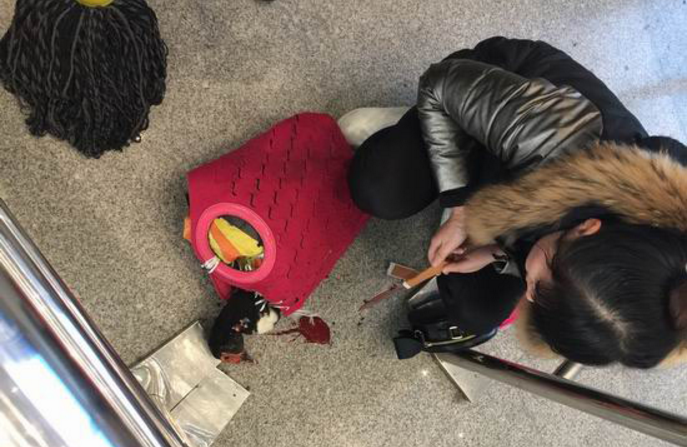 圖片來源：四川新聞網