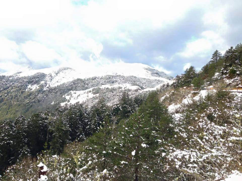 圖片來源:合歡山賞雪機動團