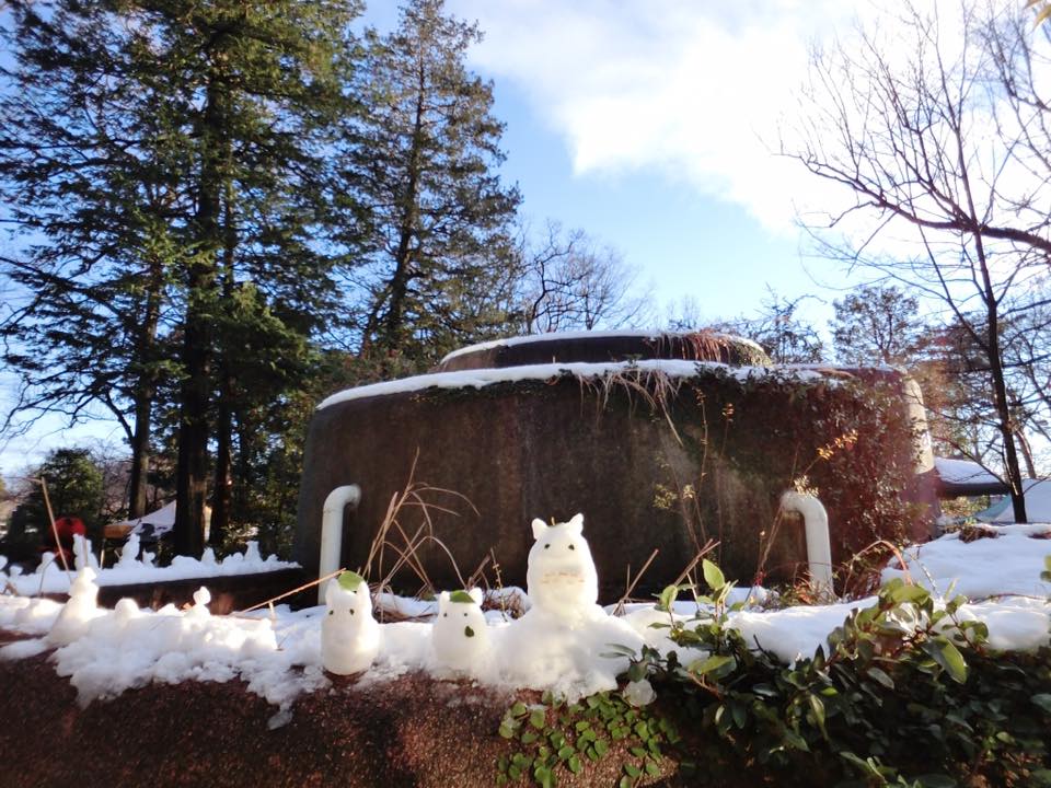 圖片來源:Chen Yuki/●【爆料公社】●