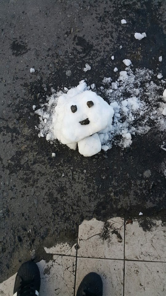 圖片來源:Chun Yuan Ma/●【爆料公社】●