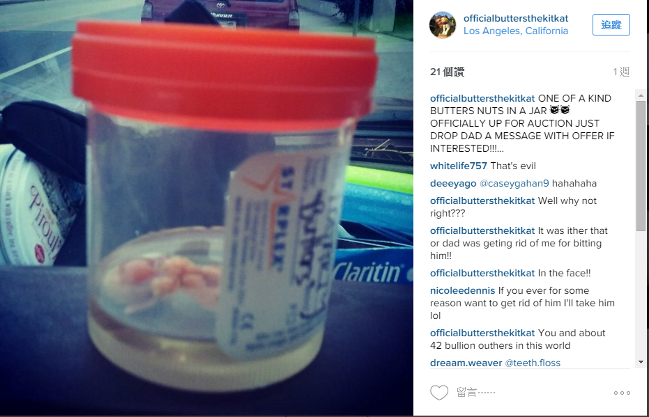 圖片來源:officialbuttersthekitkat