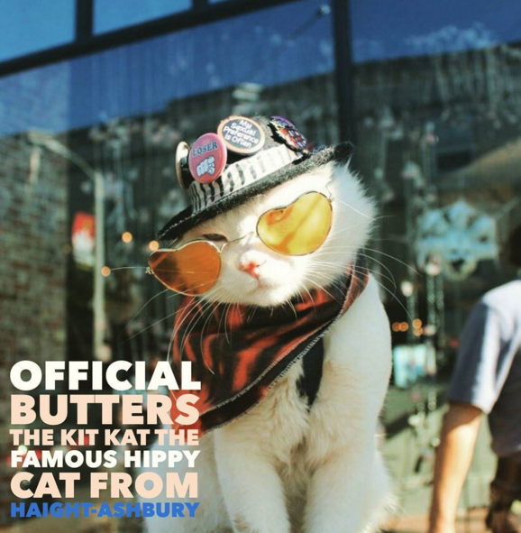 圖片來源:officialbuttersthekitkat