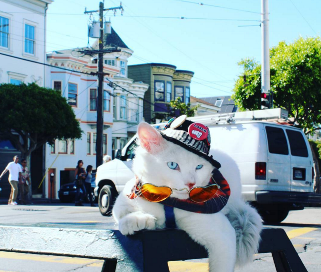 圖片來源:officialbuttersthekitkat