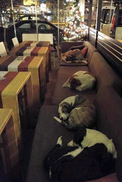 圖片來源:Eustratios Papanis