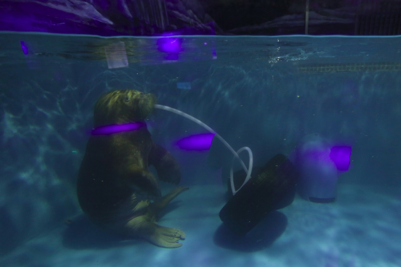 圖片來源:香港01