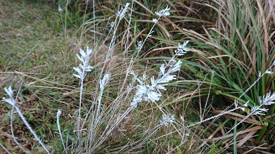 圖片來源:小鳥遊野良貓/香港熱帶氣旋預警中心