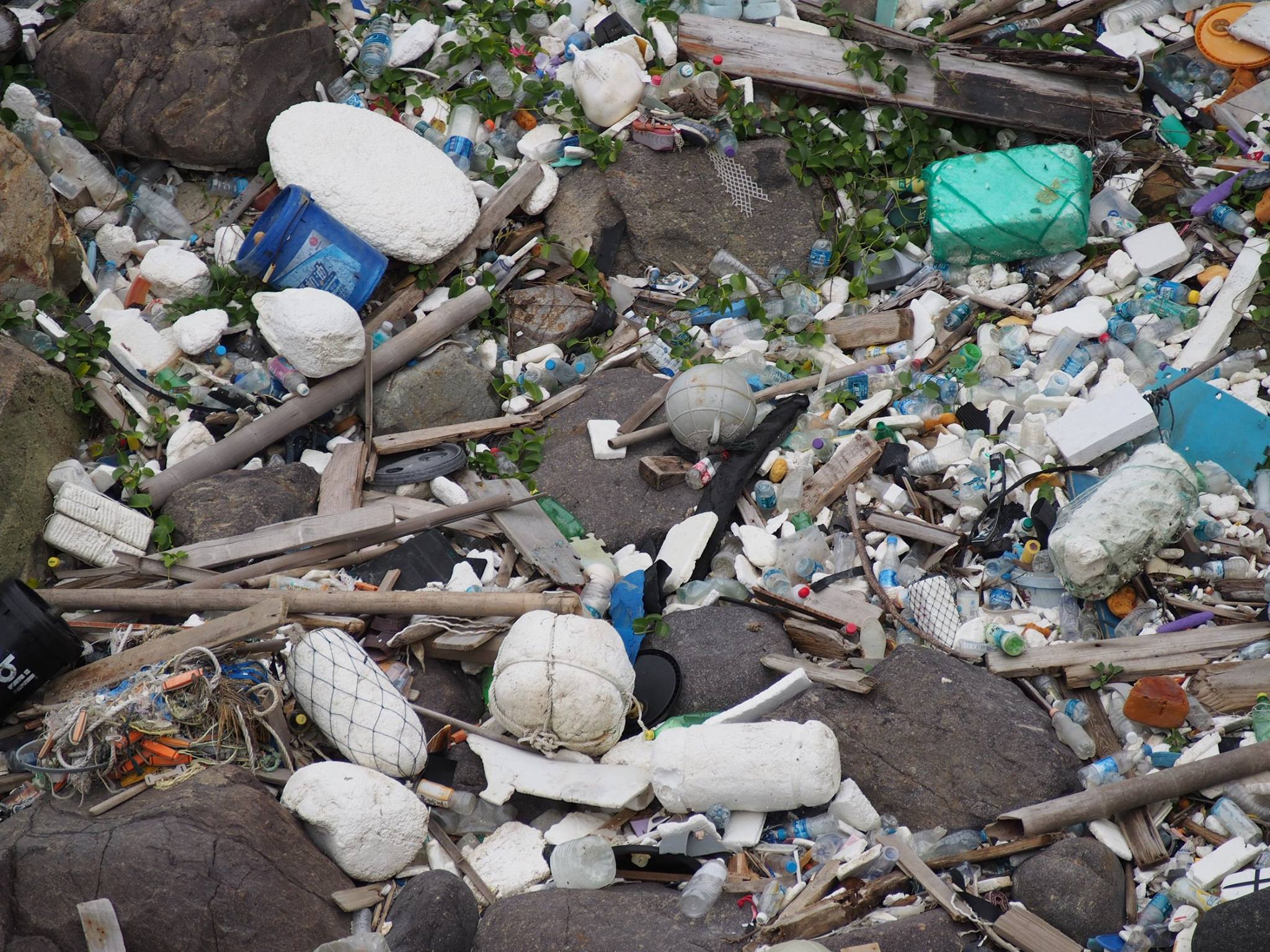 圖片來源:Chu Hon Keung/再見垃圾桶!