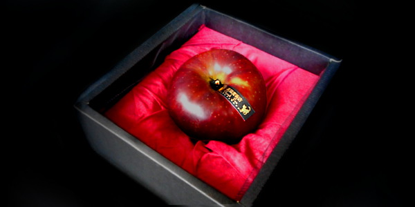 圖片來源:黑貓魔術店