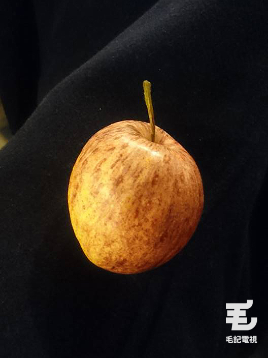 圖片來源:毛毛部相機