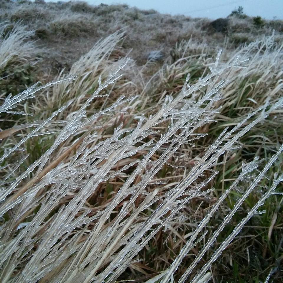 圖片來源:香港天氣資訊中心