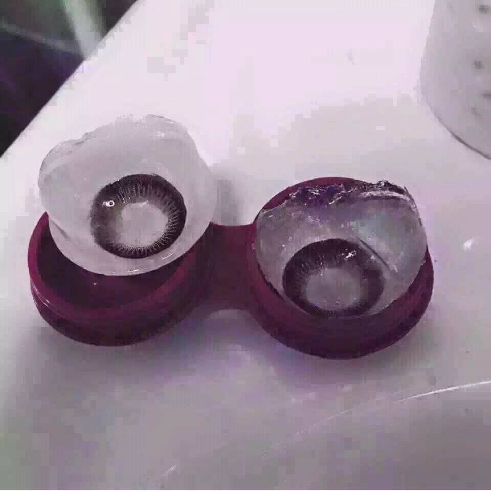 圖片來源:柯基/●【爆廢公社】●