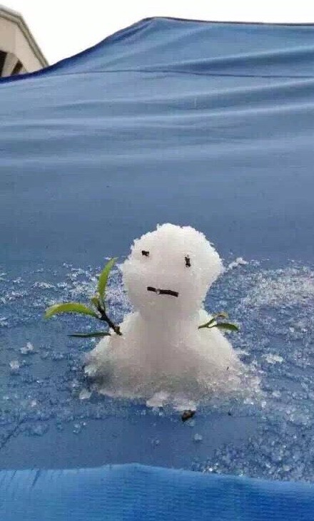 圖片來源:八卦_我实在是太CJ了/微博