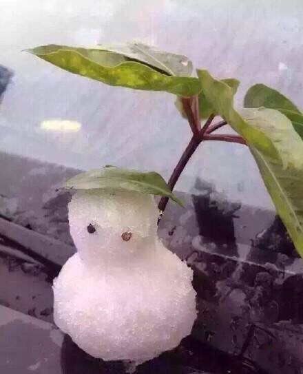 圖片來源:八卦_我实在是太CJ了/微博