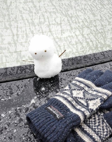 圖片來源:八卦_我实在是太CJ了/微博