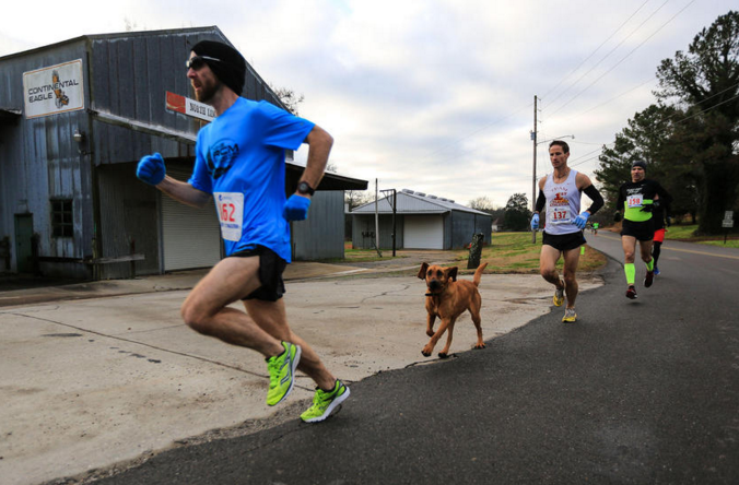 圖片來源:enewscourier