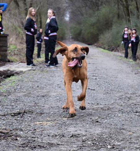 圖片來源:enewscourier