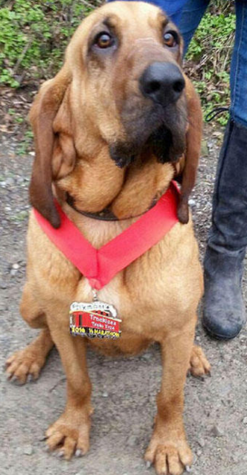 圖片來源:enewscourier