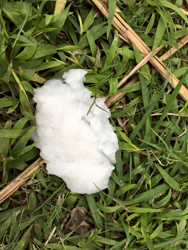 圖片來源:Alice Jing/爆料公社