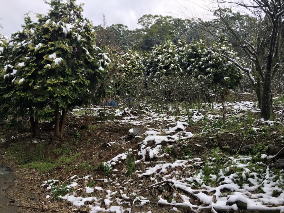 圖片來源:Alice Jing/爆料公社