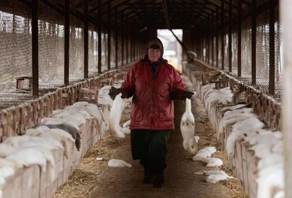 圖片來源:huanqiu