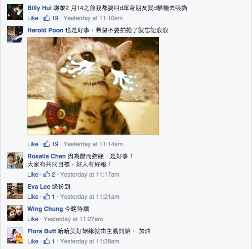 圖片來源:Genma Bunshu/天下貓貓一樣貓