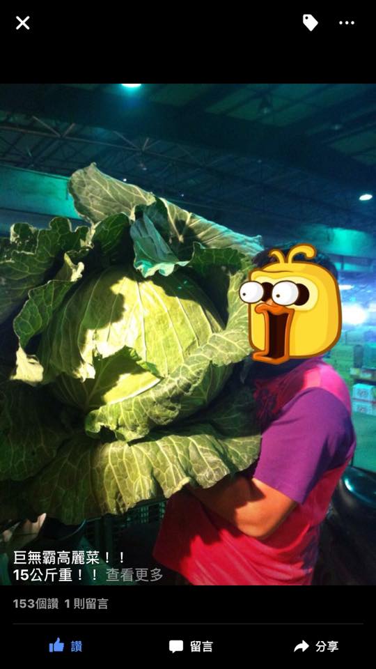 圖片來源：陳哲尉／●【爆料公社】●