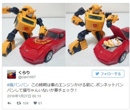 圖片來源：猫バンバン/twitter