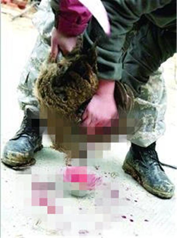 圖片來源:江蘇新聞網