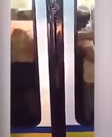 圖片來源：YOUNG KU-DO