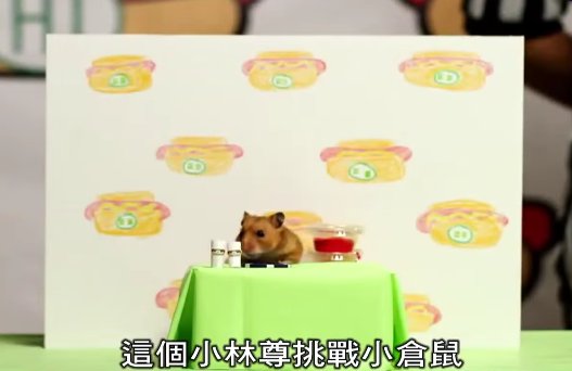 圖片來源:TVBS
