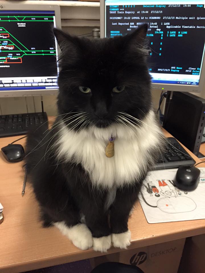 圖片來源：Felix the Huddersfield Station Cat/Facebook