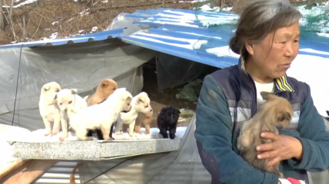 圖片來源：mashable