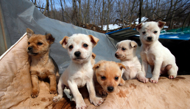 圖片來源：mashable