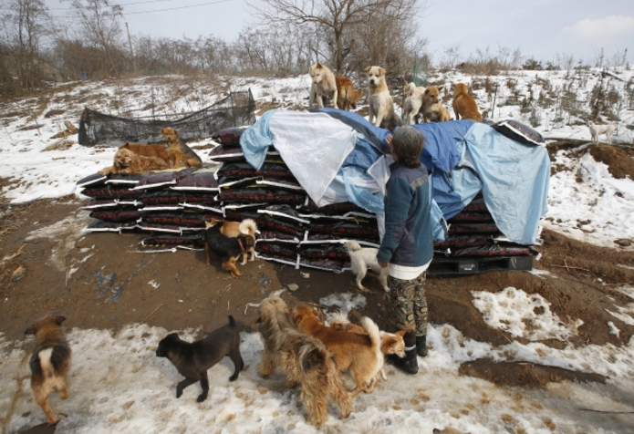 圖片來源：mashable