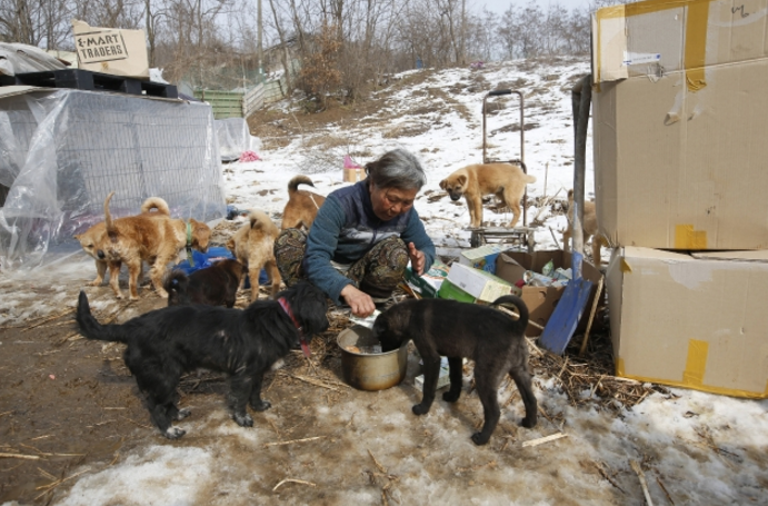 圖片來源：mashable