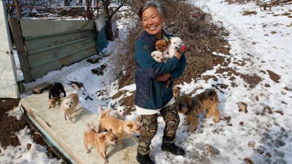 圖片來源：mashable