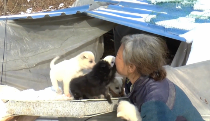 圖片來源：mashable