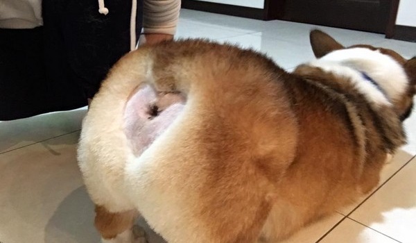 圖片來源：ettoday