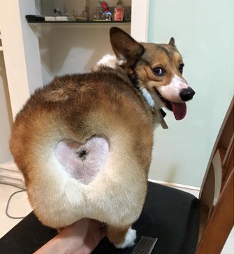 圖片來源：ettoday